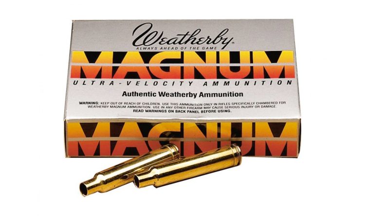 Weatherby Brass Weatherby Mag Unprimed 20/ct